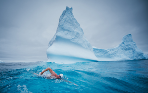 nadando en glaciares
