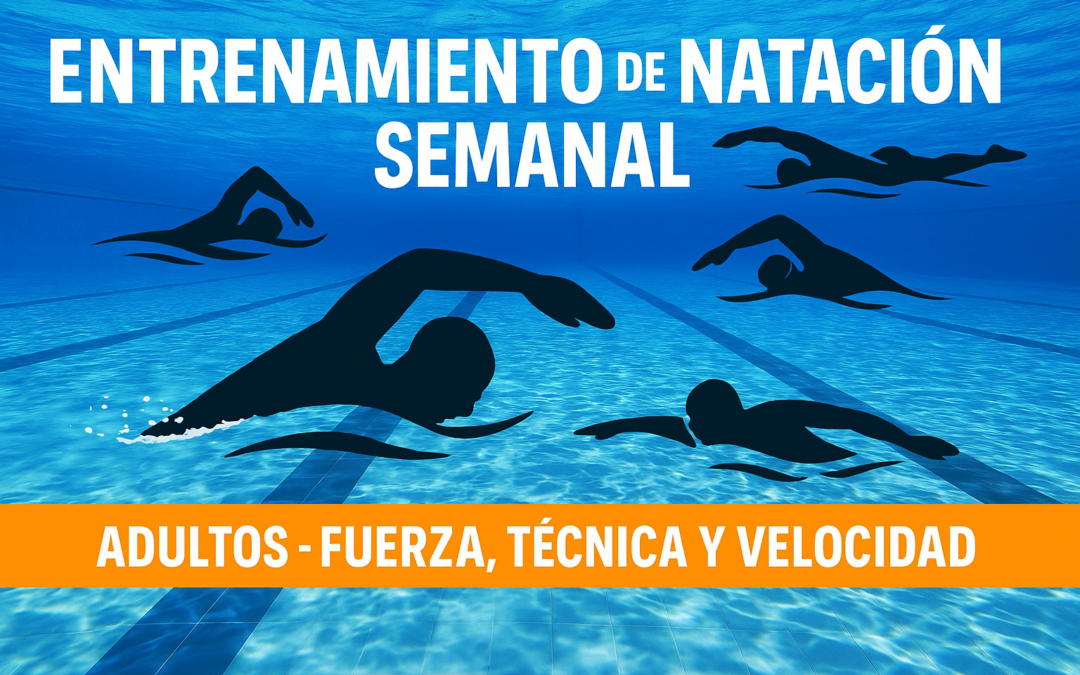 Entrenamiento de Natación  Semanal Adultos Fuerza Técnica y Velocidad